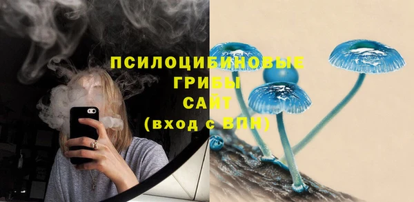 spice Лихославль