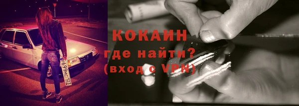 дмт Лиски
