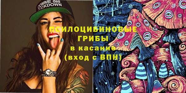 мдпв Лагань