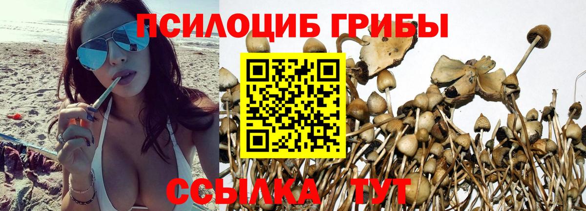 Псилоцибиновые грибы Magic Shrooms  Вход с VPN  Подольск 